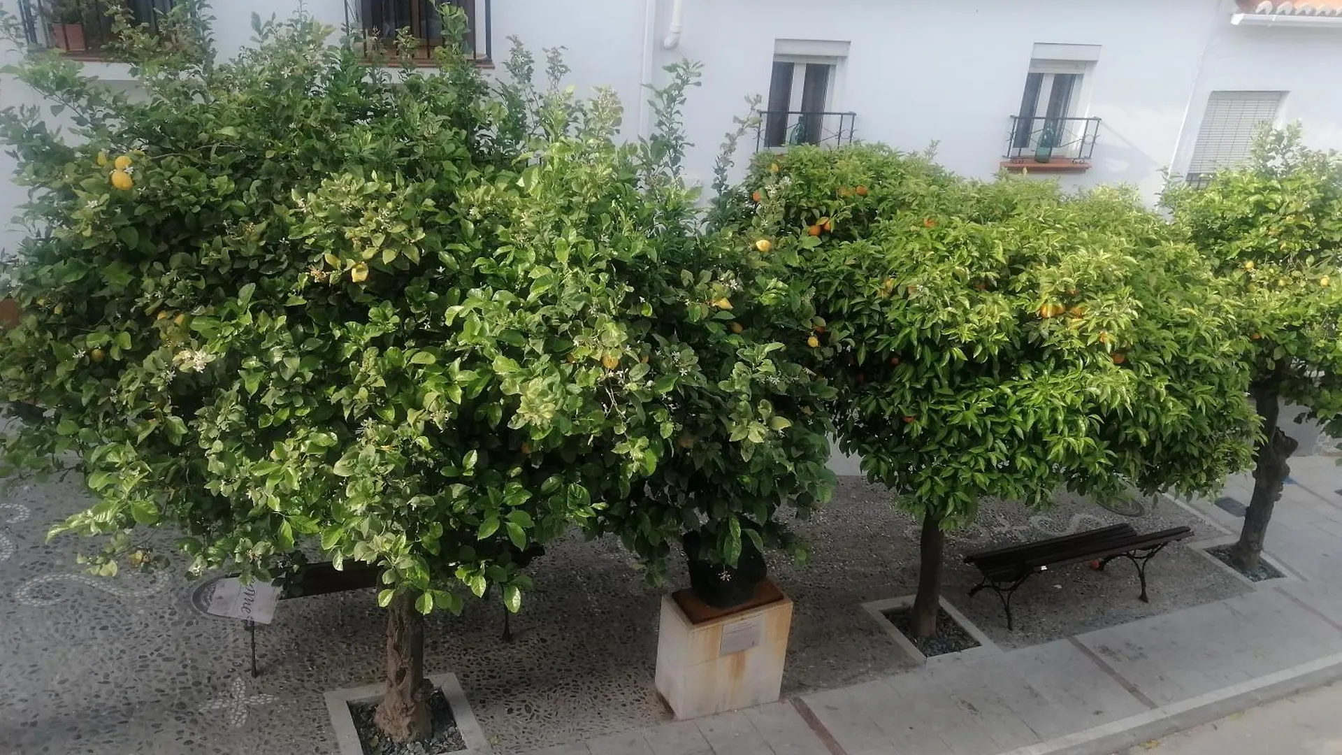 Casa Clari Lägenhet Alora Spanien